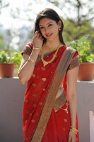 Tanvi Vyas Saree Photos